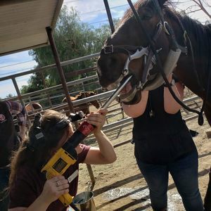 Meet your Posher, Jenn